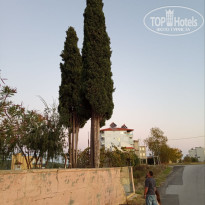 фото из отзыва ID 2735584