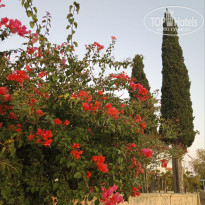 фото из отзыва ID 2735584