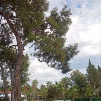 фото из отзыва ID 2735584