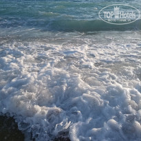 фото из отзыва ID 2735584