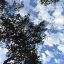 фото из отзыва ID 2735584