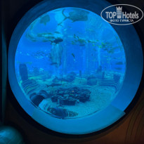 фото из отзыва ID 2735021