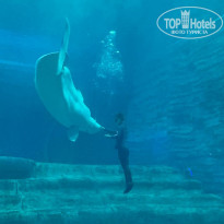 фото из отзыва ID 2735021