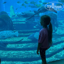 фото из отзыва ID 2735021