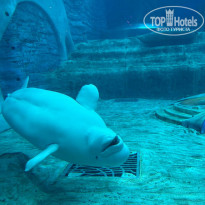 фото из отзыва ID 2735021