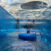 фото из отзыва ID 2735021