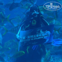 фото из отзыва ID 2735021