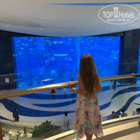 фото из отзыва ID 2735021