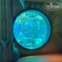 фото из отзыва ID 2735021