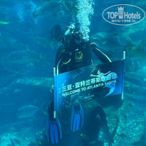 фото из отзыва ID 2735021