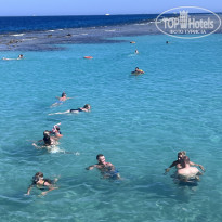 фото из отзыва ID 2735641