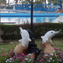 фото из отзыва ID 2735624