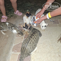 фото из отзыва ID 2735658