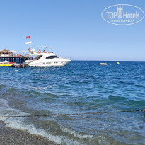 фото из отзыва ID 2735666