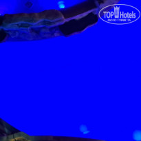 фото из отзыва ID 2735665