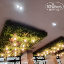 фото из отзыва ID 2735665