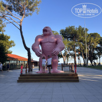 фото из отзыва ID 2735689