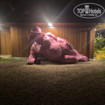 фото из отзыва ID 2735689