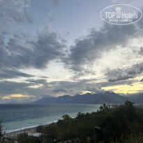 фото из отзыва ID 2735693