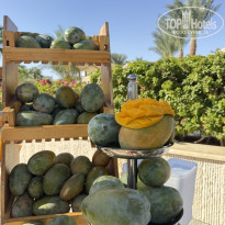 фото из отзыва ID 2735708