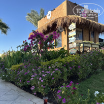 фото из отзыва ID 2735708