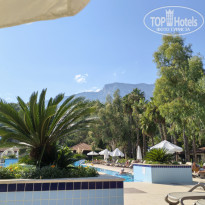 фото из отзыва ID 2735734