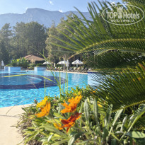 фото из отзыва ID 2735734