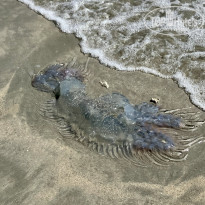 фото из отзыва ID 2735769