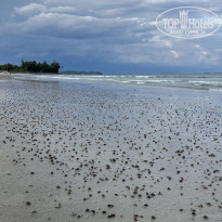 фото из отзыва ID 2735769