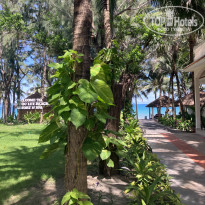 фото из отзыва ID 2735769