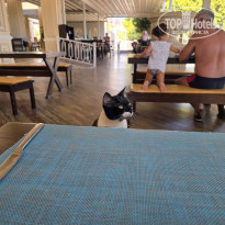 фото из отзыва ID 2735782