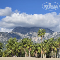 фото из отзыва ID 2735782