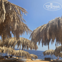 фото из отзыва ID 2735803