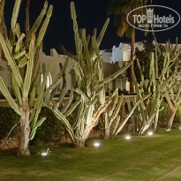 фото из отзыва ID 2735797