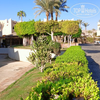 фото из отзыва ID 2735797