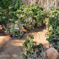 фото из отзыва ID 2735797