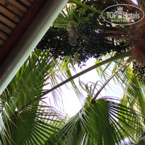 фото из отзыва ID 2735794