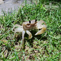 фото из отзыва ID 2735794