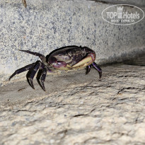 фото из отзыва ID 2735794