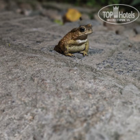 фото из отзыва ID 2735794