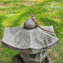 фото из отзыва ID 2735794