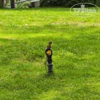 фото из отзыва ID 2735794