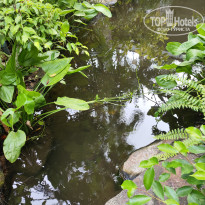 фото из отзыва ID 2735794