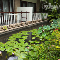 фото из отзыва ID 2735794