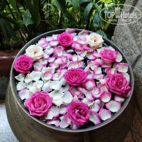 фото из отзыва ID 2735794