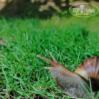 фото из отзыва ID 2735794