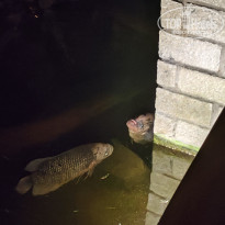 фото из отзыва ID 2735794