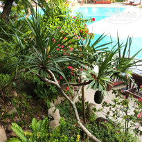 фото из отзыва ID 2735794