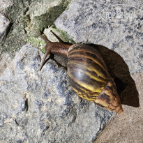 фото из отзыва ID 2735794