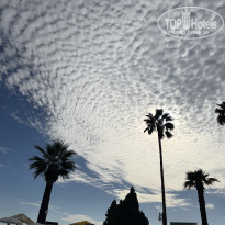 фото из отзыва ID 2735811